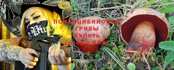 PSILOCYBIN Осташков
