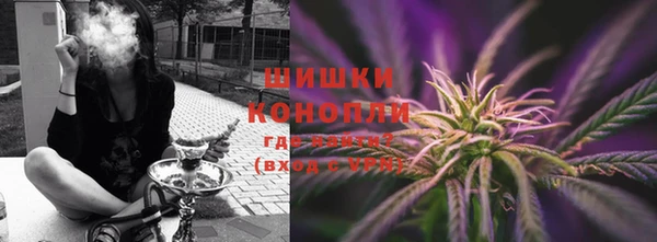 PSILOCYBIN Осташков