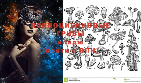 PSILOCYBIN Осташков