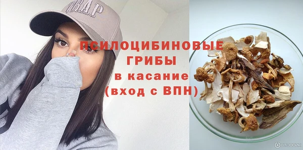 PSILOCYBIN Осташков