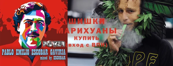 эйфоретик Бикин