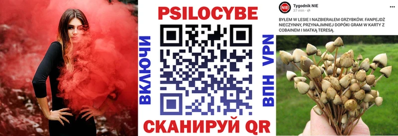 Галлюциногенные грибы мухоморы  Власиха 